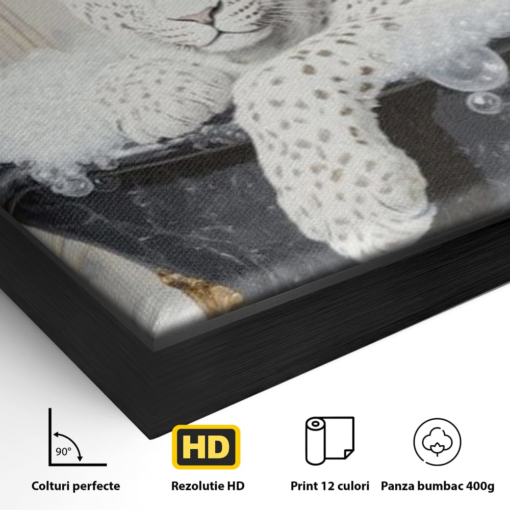 Detaliu al suprafetei: tablou canvas cu leopard alb in cada, in rama de aluminiu negru